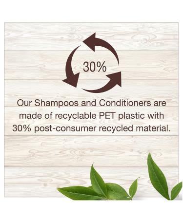 Garnier Whole Blends Ginger Recovery Strengthening Shampoo - 22 Fl Oz - Buy Online on GoSupps.com