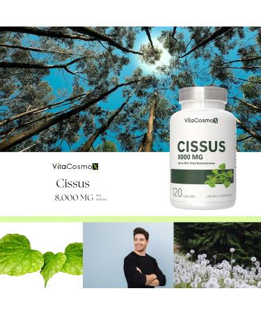 VitaCosmoX Cissus Quadrangularis Extract 8000 mg Maximum Strength 120 Veggie Capsules 100% Vegetarian Non-GMO & Gluten Free - Buy Online on GoSupps.com