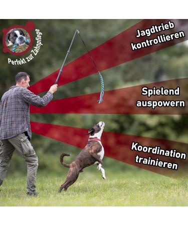 M hwald Dog in Focus Professional Dog Bait Rod - Perfect for Large & Small Dogs | Includes 3 Ropes 3 Carabiners & eBook - Shop Now! - Buy Online on GoSupps.com