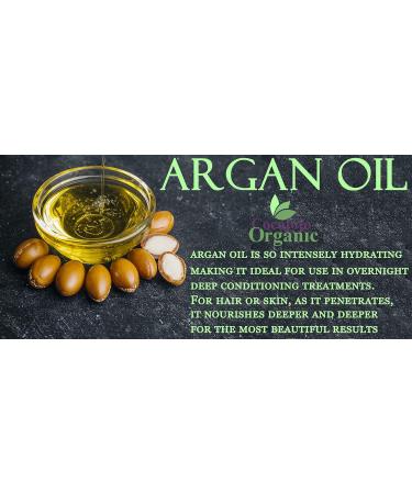 Buy CocoJoJo Argan Oil Hair Treatment - 8 oz | Moroccan Argan Nut Oil for Dry Damaged Hair - Buy Online on GoSupps.com