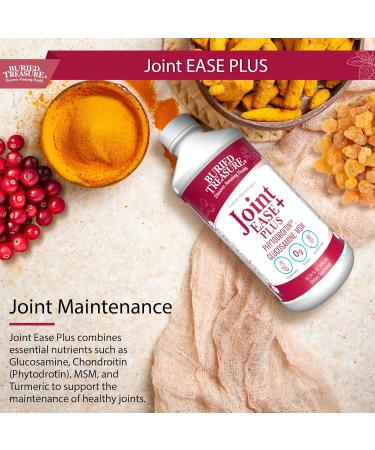 Buried Treasure Joint Ease Plus - 16 fl oz, Glucosamine Chondroitin with MSM and Turmeric, Joint Support Supplement - Buy Online on GoSupps.com