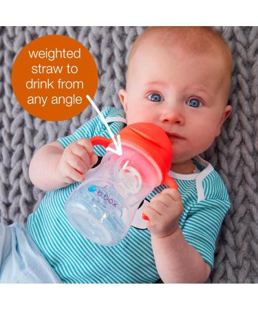 B.Box Drinking Cup for Every Angle | Flip-Top Heavy Straw Leak-Proof | BPA-Free Dishwasher Safe | 240 ml (8 oz) | Cobalt with Matt Lid | Ideal for Kids 6 Months+ - Buy Online on GoSupps.com