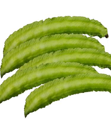 20 Winged Bean Semi di Verdure - Buy Online on GoSupps.com