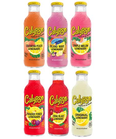 Calypso Lemonade | Made with Real Fruit and Natural Flavors | 6 Flavor Variety, 16 Fl Oz (Pack of 6)