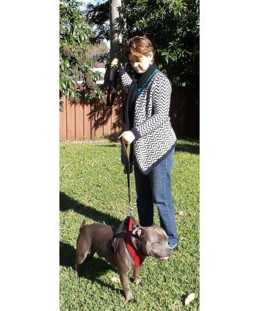 DDSCOLOUR Heavy Duty Dog Leash 5-6ft Long with Double Traffic Handle Reflective Perfect for Medium large dog leash strong Double Handle Lead Greater Control Safety Training (Black+Green) 5 feet Black+green - Buy Online on GoSupps.com