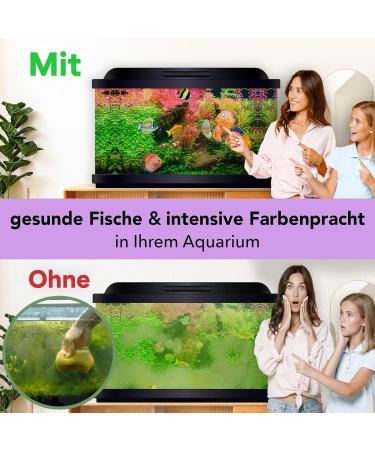 DISCUSFOOD Grand Champion discus Granul s 80 g - Buy Online on GoSupps.com