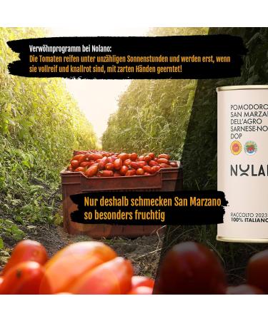 Delicret - 12 x 400g NOLANO San Marzano DOP tomatoes | whole and peeled | Pizza & Neapolitan pizza recipes - Buy Online on GoSupps.com