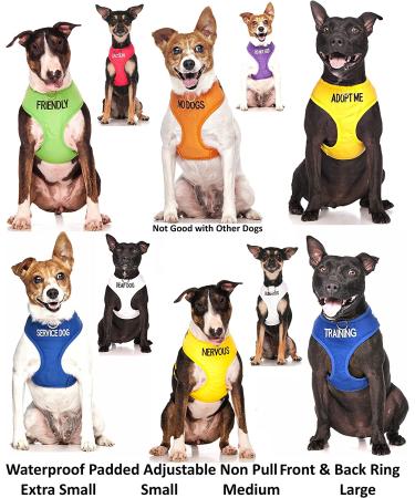 Dexil Limited Yellow Color Coded Non-Pull Dog Harness - XS 13-19 Inch Chest/Girth - Buy Online on GoSupps.com