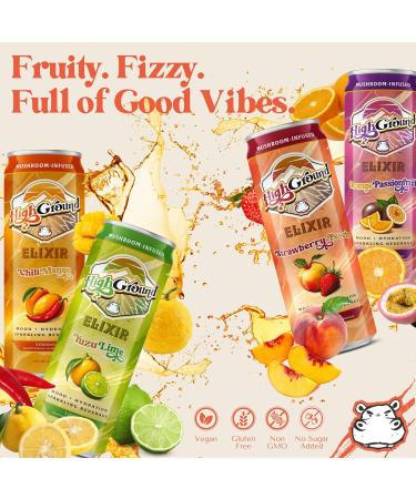 High Ground Elixir Mushroom Seltzer Variety Pack | Lion s Mane for Focus Reishi for Stress Cordyceps Chaga Turkey Tail L-Theanine | Adaptogen Drink | Low Cal No Added Sugar 12oz Cans 6 Pack Variety Pack 6 Pack - Buy Online on GoSupps.com