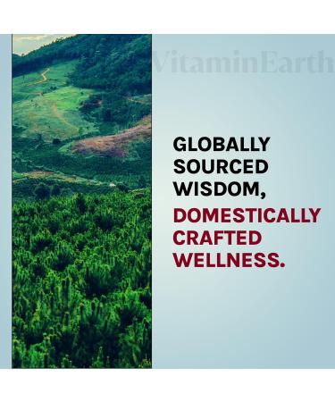 Vitamin Earth Berberine Gummies | Doctor Formulated with Pure Berberine HCL Supplement with Ceylon Cinnamon & Milk Thistle | Berry Cherry Flavor - Buy Online on GoSupps.com