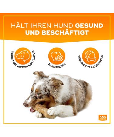 Natural Dog Treats - Coffee Wood Chewing Bones for Puppies & Dogs | Caustab Chewing Wood | 2-Pack - Buy Online on GoSupps.com