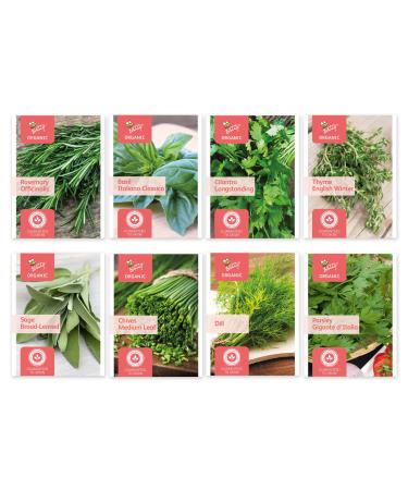 BUZZY Organic Non-GMO Herb Seed Packs, 8-Pack for Indoor, Outdoor Planting, Rosemary, Italiano Classico Basil, Cilantro, Thyme, Sage, Chives, Dill, Parsley, Fresh for Cooking and Herbal Teas
