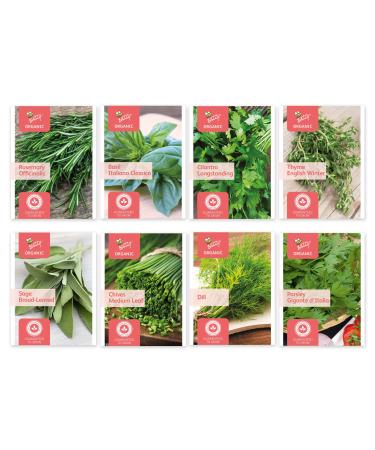 BUZZY Organic Non-GMO Herb Seed Packs, 8-Pack for Indoor, Outdoor Planting, Rosemary, Italiano Classico Basil, Cilantro, Thyme, Sage, Chives, Dill, Parsley, Fresh for Cooking and Herbal Teas