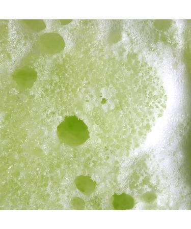 Freeman Soap Sponge Bundle - Coffee, Green Tea, and Strawberry Shower Sponges - 3 Count | Hydrating, Cleansing, Exfoliating, Self-Tanner Removal - Buy Online on GoSupps.com