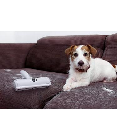 Pet Elephant Pet Hair Remover & Lint Roller for Dogs and Cats | Self-Cleaning Brush | Pet Supplies - Buy Online on GoSupps.com