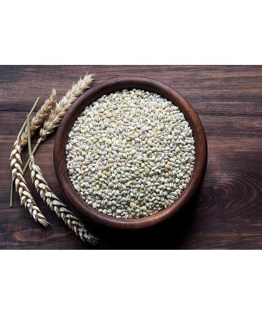 Organic Pearl Barley 3 Pounds - Non-GMO, Kosher, Vegan, Cooks Faster than Hulled Barley, Rich in Fiber & Selenium - Ideal for Risotto, Soup, Salads, Stews - 3 lb Pack - Buy Online on GoSupps.com