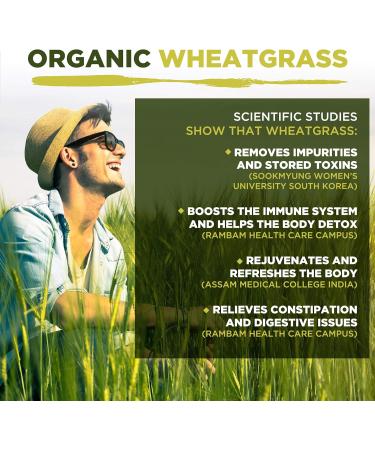 Organic Wheatgrass Powder 500g - High Chlorophyll Content - MySuperfoods (Pack of 1) - Buy Online on GoSupps.com
