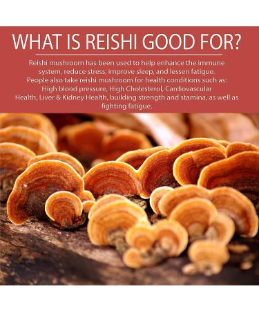 Pura Sol Reishi Mushroom Capsules 10,000mg - Ganoderma Powder Extract Supplement for Immune Support & Longevity - Heart Health, Mood & Stress Management - Gluten-Free & Vegan - 60 Capsules - Buy Online on GoSupps.com