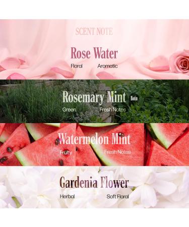 Braid Formula Refreshing Fine Mist 3.38 Fl. Oz. Gardenia Flower - Eliminates Odor Gives High Shine Infused Gardenia Flower Extract for Your Scalp Calming Hair Nourishing Gardenia Flower Extract 3.38 Fl Oz (Pack of 1) - Buy Online on GoSupps.com