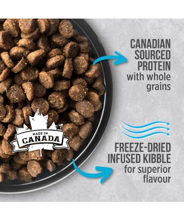 Nutrience Infusion Healthy Adult Indoor Cat Food Ocean Fish 2.27 kg (5 lb) Bag - Buy Online on GoSupps.com