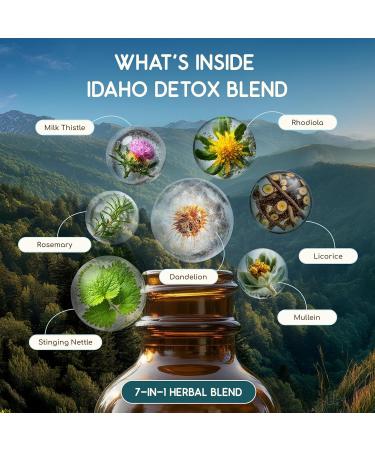 HerbEra Idaho Herbal Detox Blend - USDA Organic Extract Made in USA | Immune & Liver Support Liquid Drops | Dandelion Root Licorice Milk Thistle Rhodiola Mullein Leaf | 2 fl oz - Buy Online on GoSupps.com