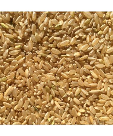 Chico Rice - 100% Organic California Japonica Calrose Medium Grain Rice - Vegan & Gluten Free - 30 oz (2 Pack) - Buy Online on GoSupps.com