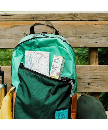 St. Francis Herb Farm Skin Healing Salve | 60 ml | Red Clover Plus Salve | Eczema and Psoriasis Remedy | Skincare Wound-healing | Anti-itch Salve | Made in Canada - Buy Online on GoSupps.com