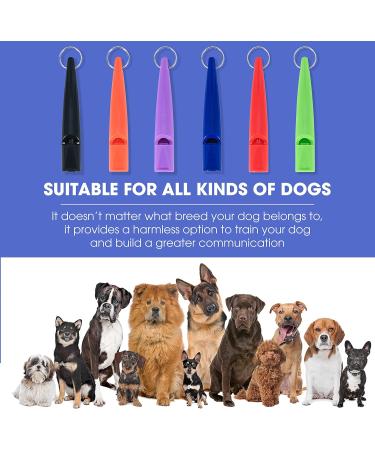 Premium Purple Whistle for Hunting Dogs Long Distance Recall & Training with Lanyard International Shipping Available - Buy Online on GoSupps.com