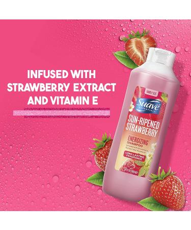 Suave New 381385 Strawberry Shampoo 15 Oz (6-Pack) - Wholesale Bulk Discount Health & Beauty Cup - Buy Online on GoSupps.com