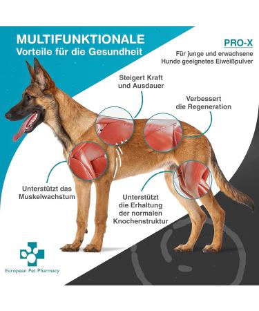 European Pet Pharmacy Pro-X Hypoallergenic Dry Food Supplements for Dogs - Insect Protein - Age 1+ 300g Muscle Mass Powder for Dogs - Buy Online on GoSupps.com