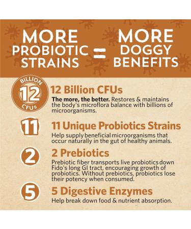 Good Guts Probiotic for Big Dogs - 12 Billion CFUs 11 Strains & Digestive Support | 20-Day Supplement for Adult & Puppy Dogs Over 66 lbs - Buy Online on GoSupps.com