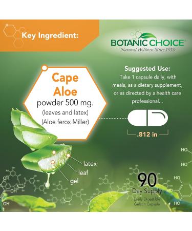 Aloe Vera- Leaf and Latex, Digestive, Liver, Stomach health-Contains Amino Acids, Vitamins, Minerals, Enzymes- 500mg-Gluten Free, Non-GMO-90 capsules 90 Count (Pack of 1) - Buy Online on GoSupps.com