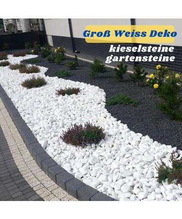 VELLES Pebbles for Painting Large Garden Stones White Natural Rock for Paint Rocks Marble Gravel to Decorative Stone Aquarium Decor Polished Pebble Art Scottish Cobbles for Pond - 1.9kg (40-80mm) 40-80 mm (WeiÃ) - Buy Online on GoSupps.com