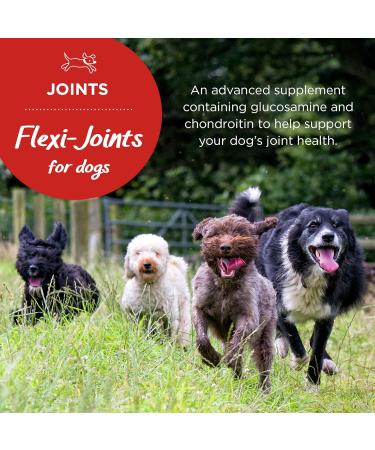 Healthspan Flexi-Joints for Dogs | High Strength Glucosamine & Chondroitin | With Vitamins C & E | Supports Joint Mobility | Beef Flavoured | 240 Tablets - Buy Online on GoSupps.com