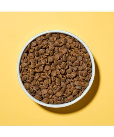 Pooch & Mutt - Complete dry food for small dogs (grain free) chicken and superfood blend 7.5 kg - Buy Online on GoSupps.com