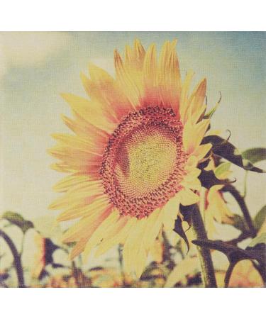 Buy FarmHouse Fresh Sunflower Honey Butter Serum | 3 Fl Oz | International Shipping Available - Buy Online on GoSupps.com
