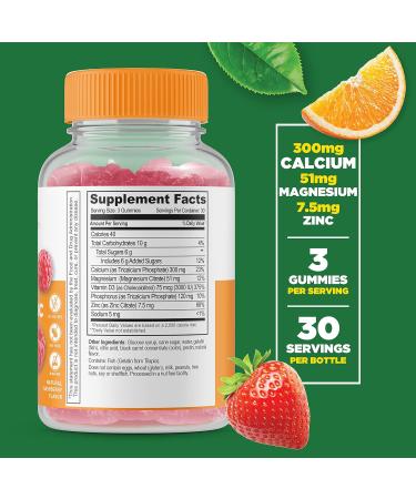 Lifeable Probiotic 2 Billion CFU + Calcium Magnesium Zinc & Vitamin D Gummies Bundle - Great Tasting Vitamin Supplement Gluten Free GMO Free Chewable Gummy - Buy Online on GoSupps.com
