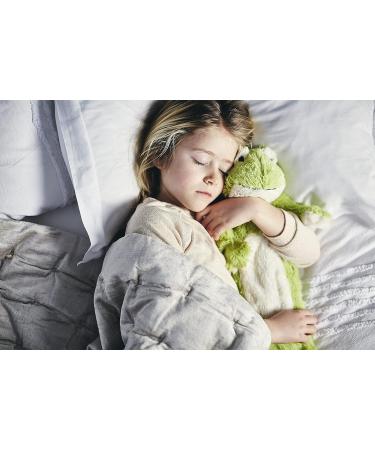 Warmies 3D Frog Hot Water Bottle - Cozy and Cute Relief - Buy Online on GoSupps.com