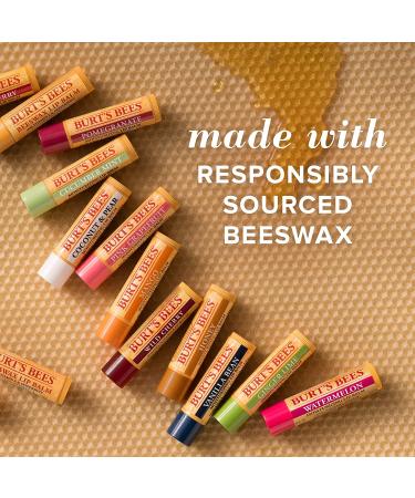 Burt's Bees Ultra Conditioning Lip Balm 2 Pack | Moisturizing 0.15 oz Each - Buy Online on GoSupps.com