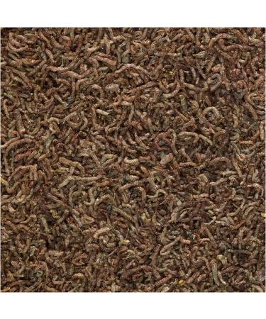 Tetra BloodWorms Freeze-Dried Fish Food | Premium Freshwater & Saltwater Nutrition - Buy Online on GoSupps.com