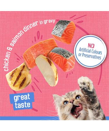 Friskies Shredded Wet Cat Food Chicken & Salmon Dinner - 156 g Can (24 Pack) PET_FOOD - Buy Online on GoSupps.com
