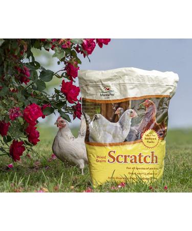 Buy Manna Pro Ultimate Scratch Chicken Feed - Nutrient Rich Treats, 10 LB - Buy Online on GoSupps.com