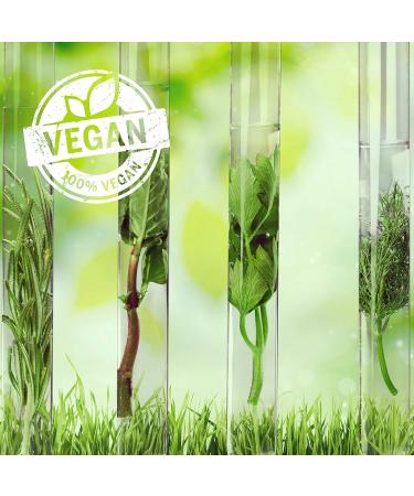 Buy Macadamia Professional Nourishing Moisture Oil Treatment - 30ml | International Shipping Available - Buy Online on GoSupps.com