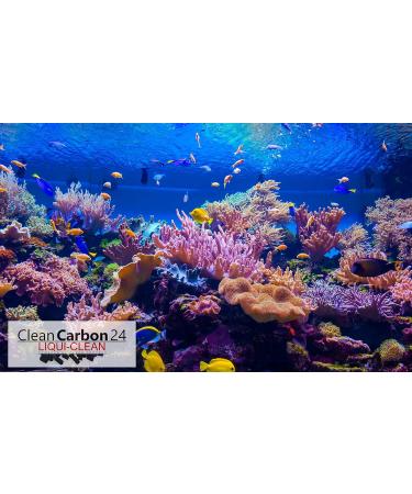 10L Activated Carbon Granules from Coconut Shells for Water Treatment | 0.6 - 2.36mm | Energy Class A | International Shipping - Buy Online on GoSupps.com