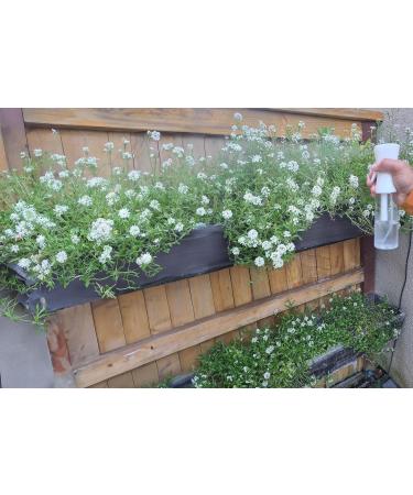 Rabayya Continuous Mist Hair Spray Bottle (Continuous Water Mister for Plants Skin Care Cleaning Hairstyling & Misting) 10.1 Ounce - Buy Online on GoSupps.com