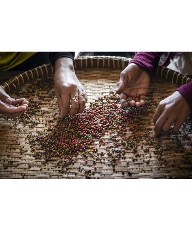 Organic Kampot Pepper: Rare Cambodian Black Peppercorns - 4 Ounce (Pack of 1) - Buy Online on GoSupps.com