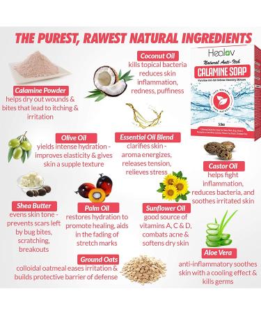 Calamine Instant Itch Relief Soap Bar - Natural Anti-Itch Defense Cleanser for Bug Bites, Eczema & Poison Ivy - 4oz Bar - Buy Online on GoSupps.com
