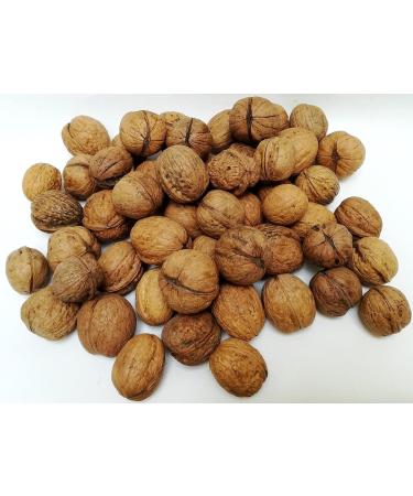 Buy Igart Hazelnuts 5kg & Walnuts 15kg - Eco Quality Untreated Harvest 2023 | Natural Supernut Delicacies - Ideal for International Shipping - Buy Online on GoSupps.com