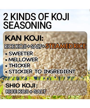 YAMASAN KOJI - Japanese Umami Seasoning Rice Paste, 12.3oz - Buy Online on GoSupps.com