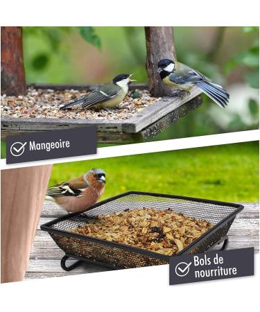 wildtierherz | Blackbird Food - Special with Berries and Fruits I Premium Quality Outdoor Wild Bird Seeds - Buy Online on GoSupps.com